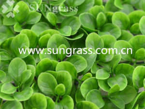 Decrative Artificial Wall Grass for Indoor and Outdoor Decoration (SUNW-MZ00039)