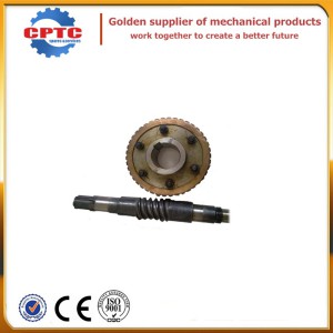 Worm Wheel and Worm for Gjj Hoist, 48teeth and 32teeth